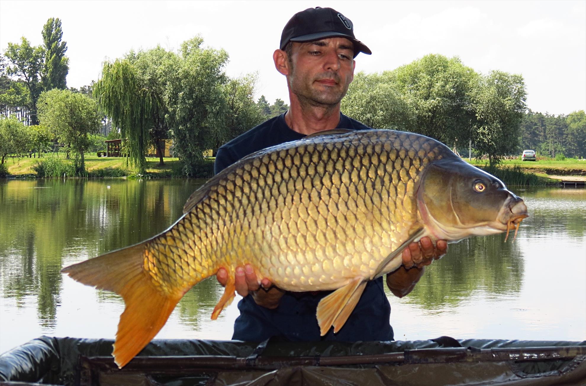 Palici - 004-img5791-1493-kg1.JPG